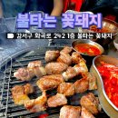 불타는꽃돼지 이미지