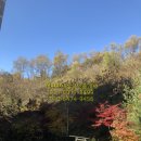 백현마을9단지 이미지