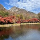 백양사 | 전남 백양사 단풍 시즌 방문 후기