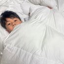 풍성이불집 | 차렵이불 추천 호텔침구같은 따뜻한이불 포렌 에코플루피