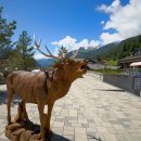 플랜B트레블 | 스위스 신혼여행 일정 코스 비용 스위스여행 총정리