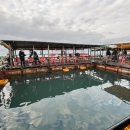 부흥호가두리낚시터 이미지