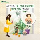 반려식물키우기 이미지