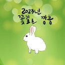 군산전자담배 디오션베이프 이미지