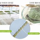 드림온누리약국 이미지