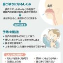 아기의 코막힘 어떻게 대처？…콧물 제거 쉽게 하는 방법도 이미지