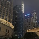 동방아파트 | 🇨🇳 상하이 와이탄 Conde(콘드)후기｜동방명주 신상 야경 맛집 (feat.로제-아파트를 라이브로..!)