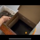 수정벌마야 이미지