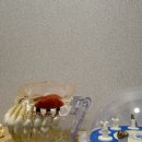 닥터홍치과의원 이미지