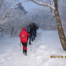 자유인 이미지