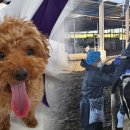 수 가축병원 이미지