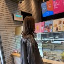 투썸플레이스세종 - 세종특별자치시 행복5길 23 | 투썸플레이스세종