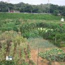 만지원농장 이미지