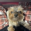 하이비오 이미지