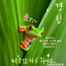 오늘은 경칩 (驚蟄) 임니다 이미지