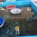 상일수산 이미지