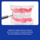 킹콩치과의원 이미지