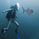 미야옷장 이미지