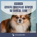 고척원동물의료센터 이미지