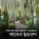 스마트영동점 | 영동 레인보우 힐링관광지: 와인터널 입장료 꿀팁과 알찬 드라이브