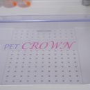 강아지살롱 이미지