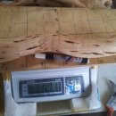 담쟁이농장 이미지