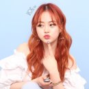 보그헤어샵 이미지