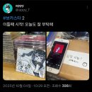 카스타 - 부평구 | 일러페스 초보카스타2 후기