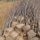 경안슈퍼 이미지