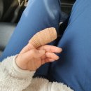 송가축병원 | 손가락 피부봉합 후기(피, 봉합 사진 주의⚠️)