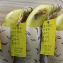 김상헌 농장 네이버블로그