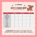 두남자동물병원 | [내돈 내산] 청주 강아지 건강검진 “두근동물병원” 솔직 후기