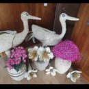 작천정5(잔디광장) 이미지