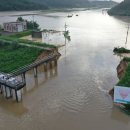 낙동강제방(2) 이미지