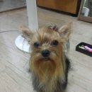 도장중학교 이미지