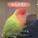11215-구의1-165 | 구의역 앵무새카페 버드라운지 후기 | 이색데이트로 진짜 추천하는 이유