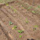 준오농장 이미지