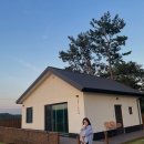 도그프리덤 이미지