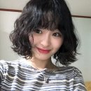 헤어오아오 네이버블로그