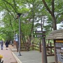 칠갑산두메산골 | 충남청양 가볼만한곳,부모님과 같이 나들이 가기 좋은 천장호 출렁다리