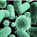 우리들항외과의원 이미지