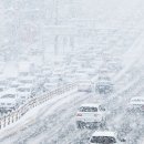 청림초등학교 병설유치원 이미지