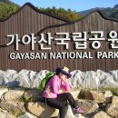 (제173차) 정기산행, 경북 성주 가야산(1433m) 갑니다. 이미지