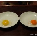 보아유황오리