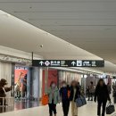 다려도 | 삿포로 신치토세공항에서 스스키노 가는법 공항 리무진버스 이용방법