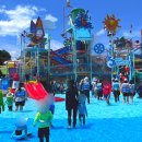 뽀뽀떡볶이 | 뽀뽀*또또와 즐긴 경주캘리포니아비치 후기