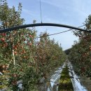 희망영농 | 2026 청년농업인 영농정착지원 합격 후기