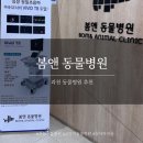 봄앤동물병원 | 과천 동물병원: 봄앤 동물병원 추천(feat.고양이 발톱빠졌을때)