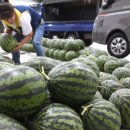 청과물처리장 이미지