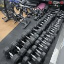 크로스핏영종 | <운서동 크로스핏> 크로스핏 영종 6개월차 크린이의 내돈내산 찐 후기